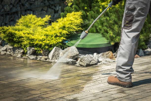 Best Boat and Dock Cleaning  in Sutton Alpine, AK